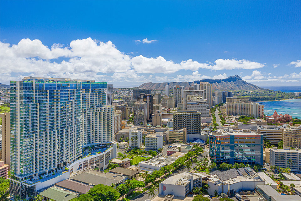 保護中: UMITO（仮）